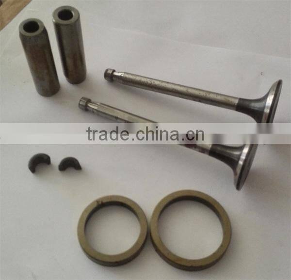 China supplier engine valve and valve seat