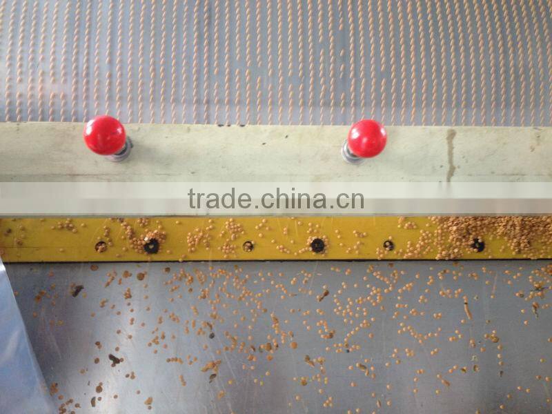 Food grade wax pastillator