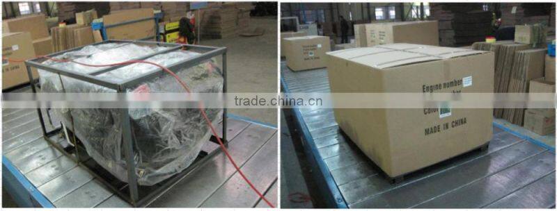 2016 hot selling 300cc water-cooled Go Kart with EPA certificate