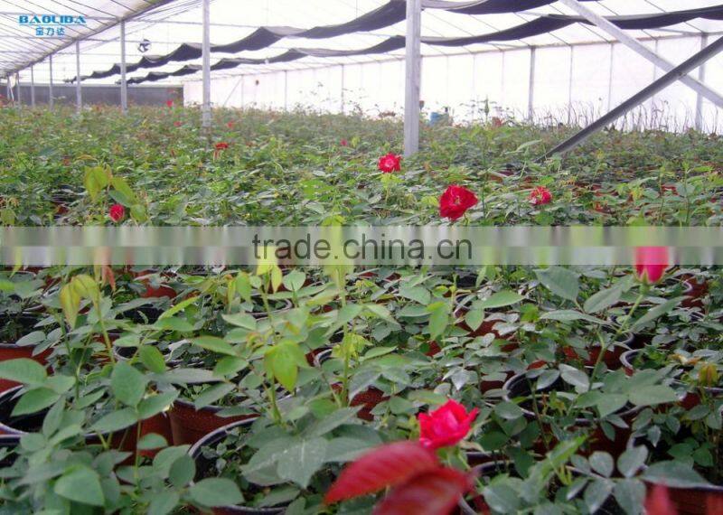 Prefabricated structure Galvanized Steel Structure Glass Covering Greenhouse for sale