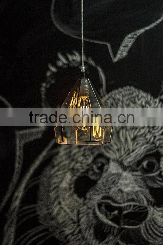 Edison bulb Clear simple lamp glass terrarium