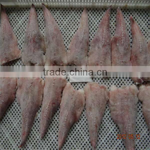 IQF cheap frozen fish