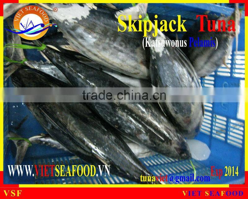 W/R FROZEN SKIPJACK TUNA