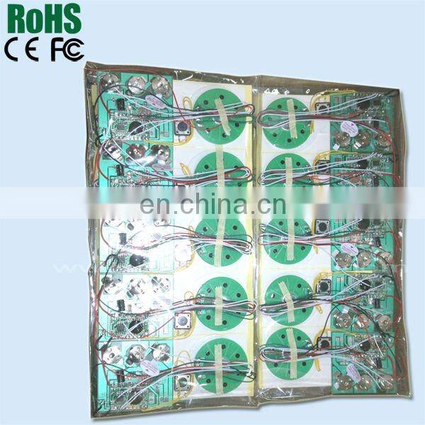 Customized recording voice chip/audio recording chip