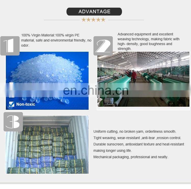 OEM Factory China PE Tarpaulin Sheets