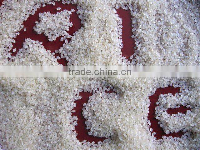 2010 round steamed rice