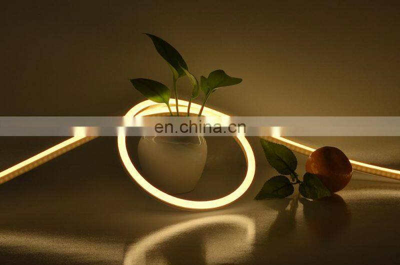 Shenzhen Led Hot Sale led neon flex light Mini Size 8mm 6mm Silicone neon flex