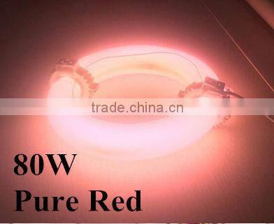 Round Shape 80w Grow Light LED Induction