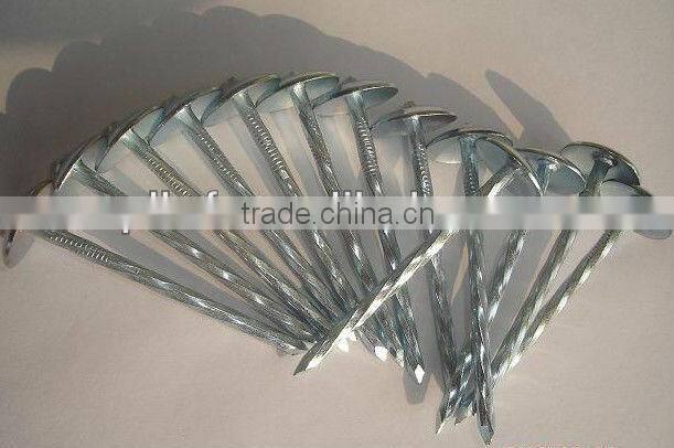 Galvanized Umbrella Head construction roofing wire nails