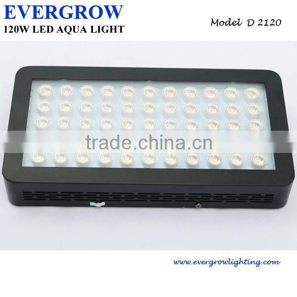 New Design EverGrow 16" 120w Dimmable led aquarium light
