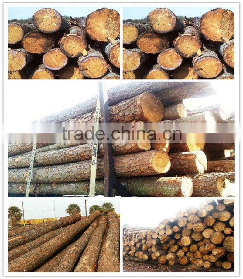 Southern Yellow Pine Logs 20 cm and up, 25 cm and up