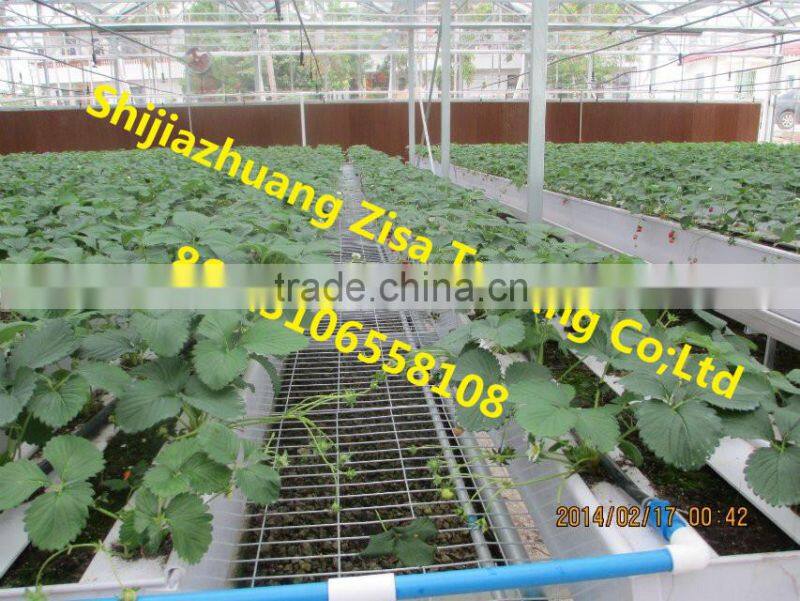 agricultural equipment plant stand in greenhouse