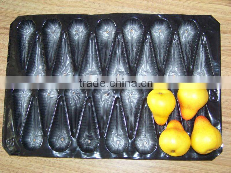 PP 20cells pear container tray