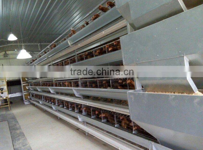 design layer chicken cages