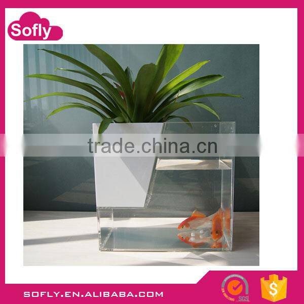 Cheap Perspex Discount Aquariums, Aquarium Products , Fresh Water Aquarium Fish