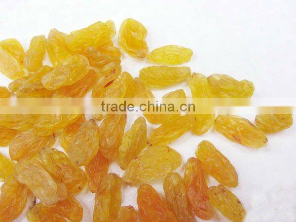 Chinese Organic raisin