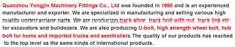 High hardness track shoe for crawler crane