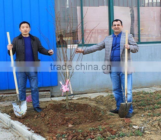 HFD-540 manual packing machine,langxi compress packer