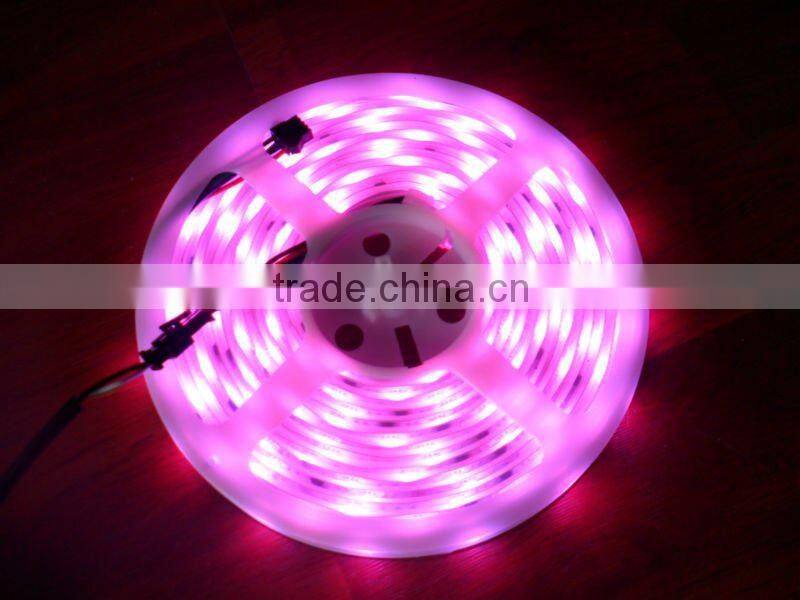super brightness waterproof SMD 5050 flexible LED strip light 110v