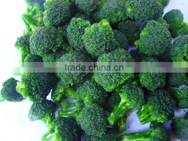 Health Food Halal Food Quick Frozen broccoli
