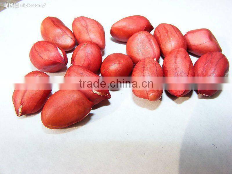 china good quality peanut in kernel for export