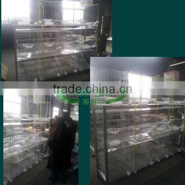 Hot Glvanized Pigeon Cage Innaer 24 years Factory