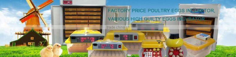 duck plucker machine in slaughtering house for sale WQ-60