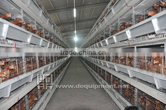 TA NO.1 Factory 3 tiers 120 birds h type broiler chicken cage