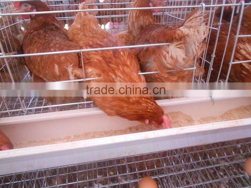 6 Tiers Layer Quail Cages For Sale