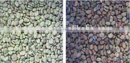 Belt Model Mung Bean Color Sorter Machine with Nikon Lens 0086 371 65866393