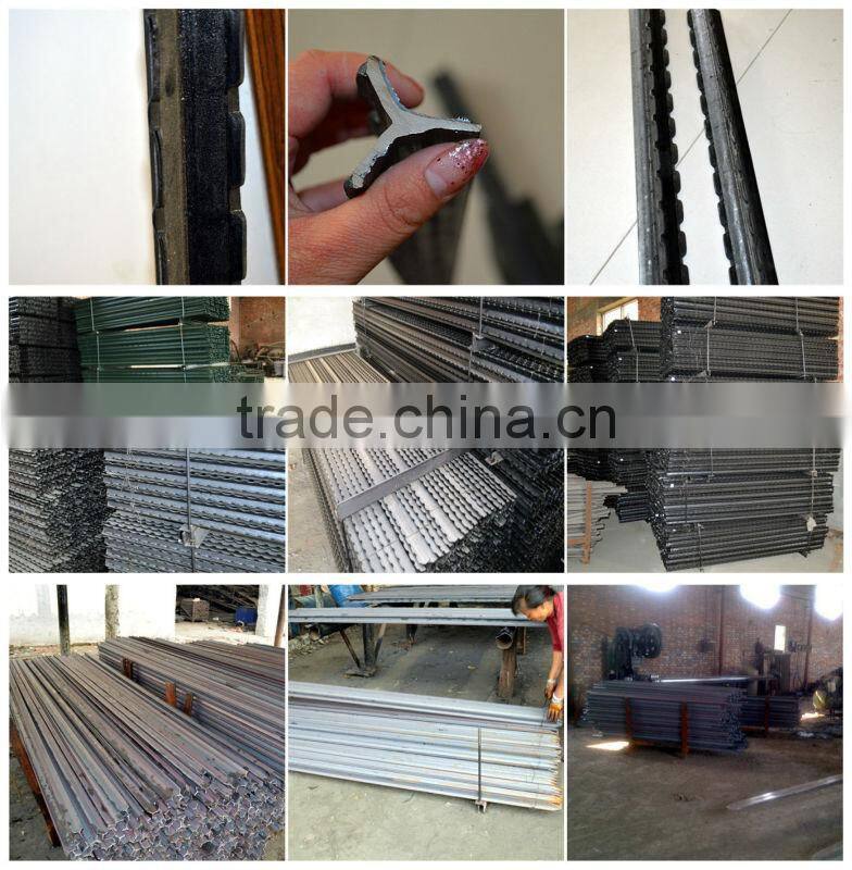 galvanizd or powder coated Y post/star picket for Australia market