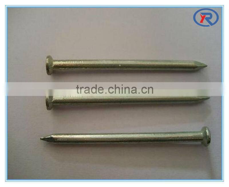 Competitive High Standard Galvanized Hardened Concrete Steel Nails
