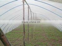 blow molding greenhouse film/mulch film