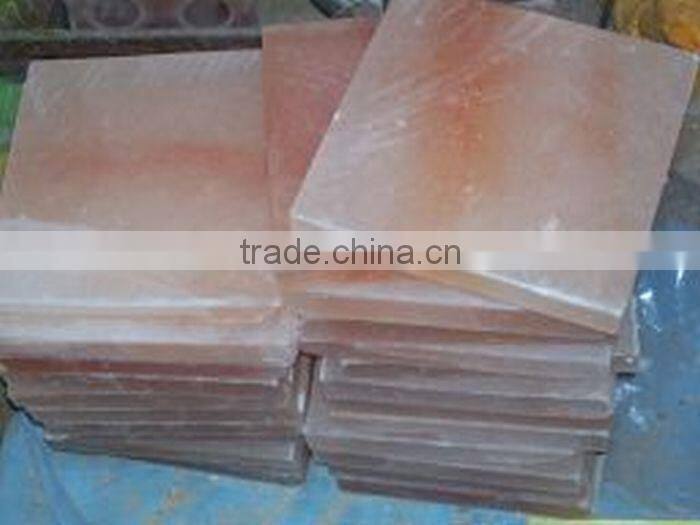 Salt Bricks 200x200x25mm TWC-403