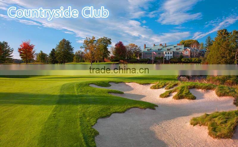 indoor entertainment golf mats for high quality model