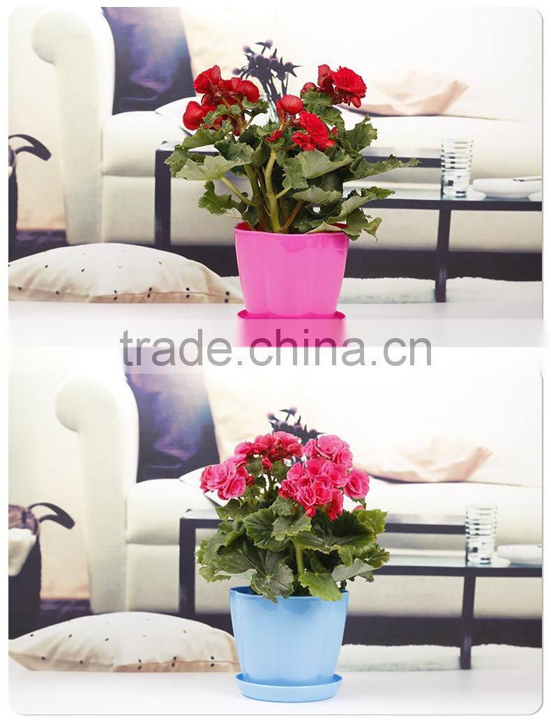 creative plastic flower pot wholesale