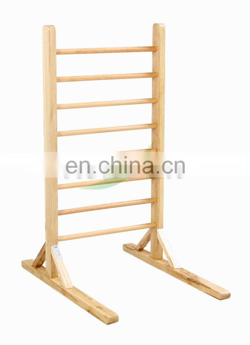 Rehabilitation Children Ladder