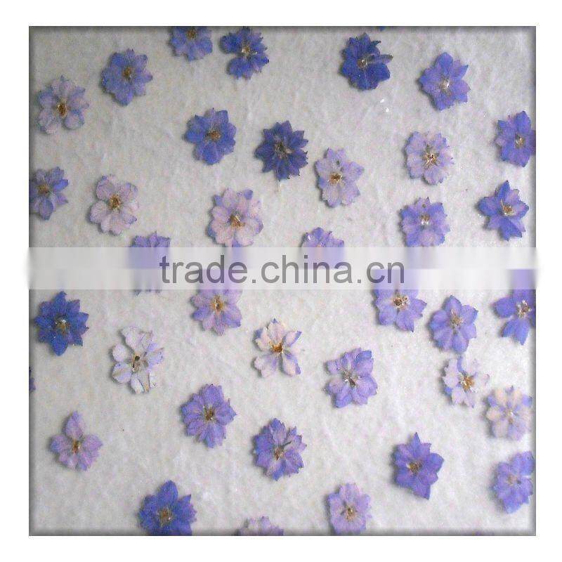 hot sale translucent decoration eco-resin panel sandwich panel price