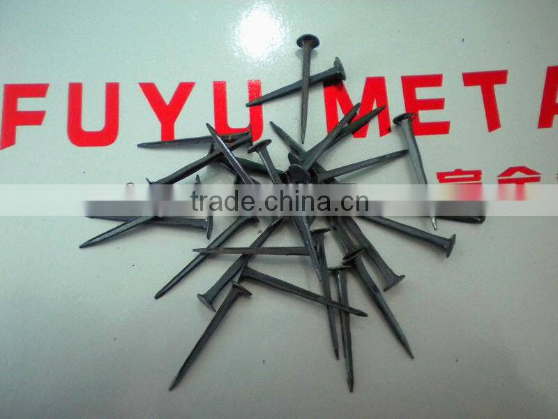 hot saled shoe tack nails(factory)