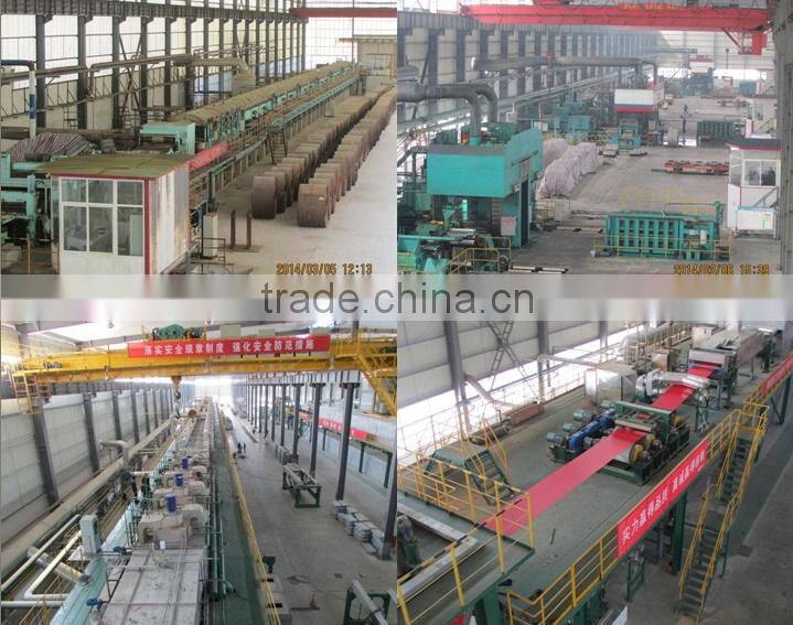 Prepainted galvanzied steel coil ( PPGI )