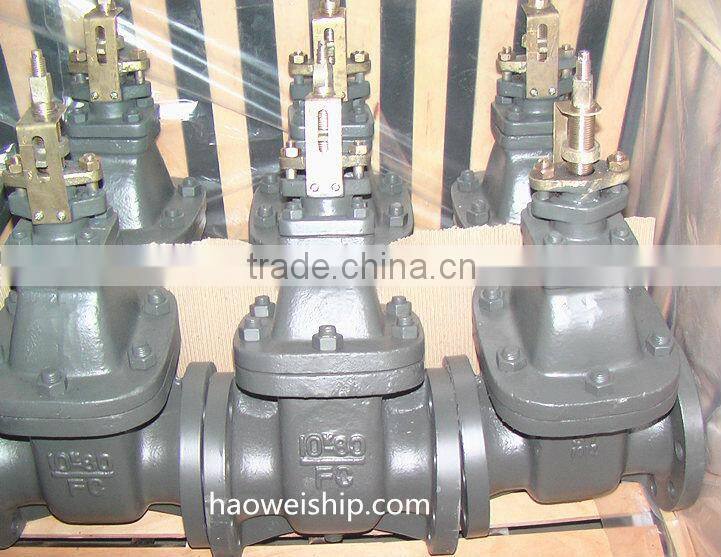 JIS F7369 16K Marine Cast Iron Gate Valve