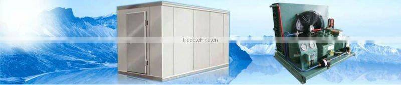 commercial ice cream storage cold room sell well
