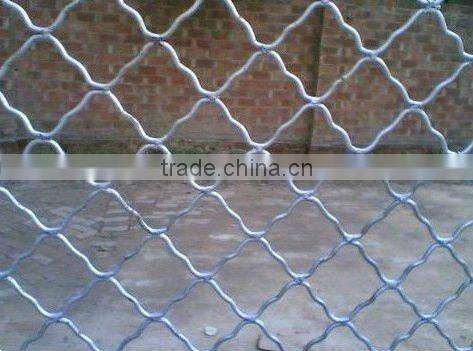 Beautiful Grid Wire Mesh(professional factory,competitive price)
