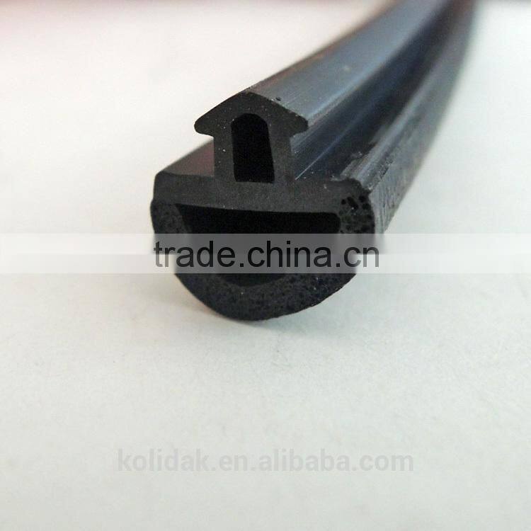 D shape Soft-hard Co-extrusion Foam sealing strip