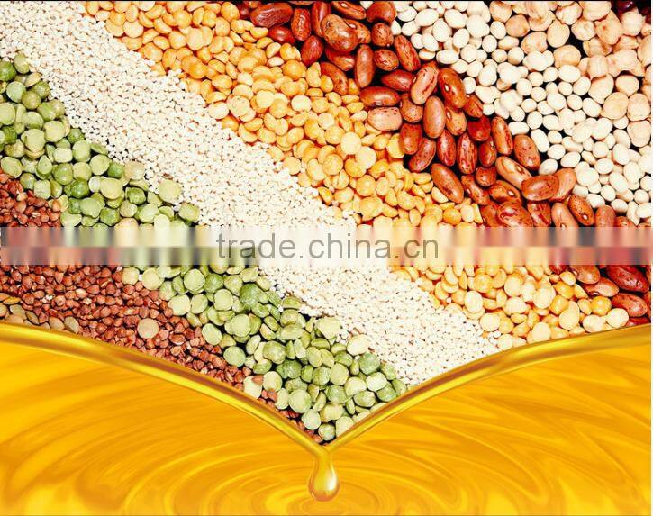 Stainless steel home use mini oil mill machinery prices