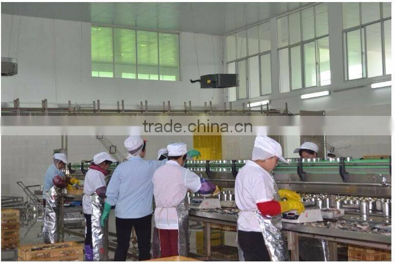 Canned Sardines in Tomato Sauce