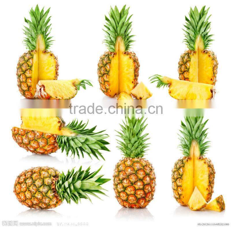 Hot sale Canned Pineapple Chunk