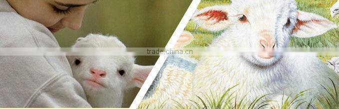 HOT!!! dyed sheep cashmere 19.5-26.5mic & 30-50mm, all dyed colors