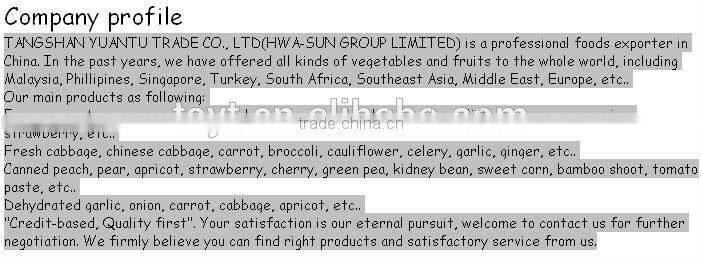 Hot Sale Fresh Canned Yellow Peach