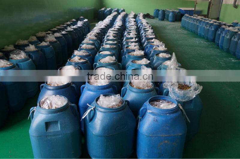 Marinated Suillus Luteus Mushroom